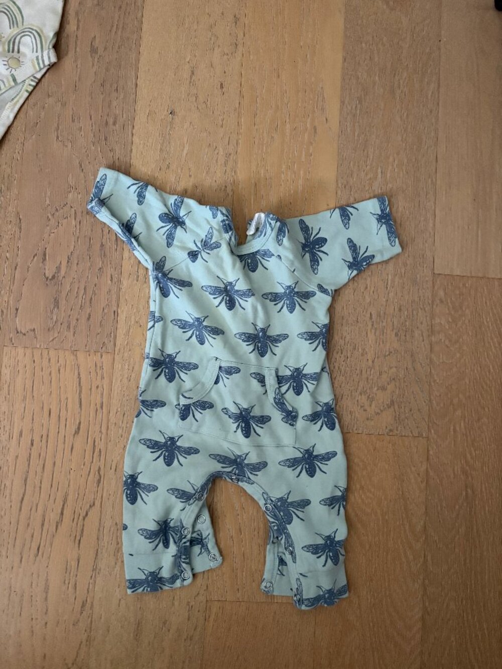 Kate Quinn Dragonfly Onesie (0-3 month)